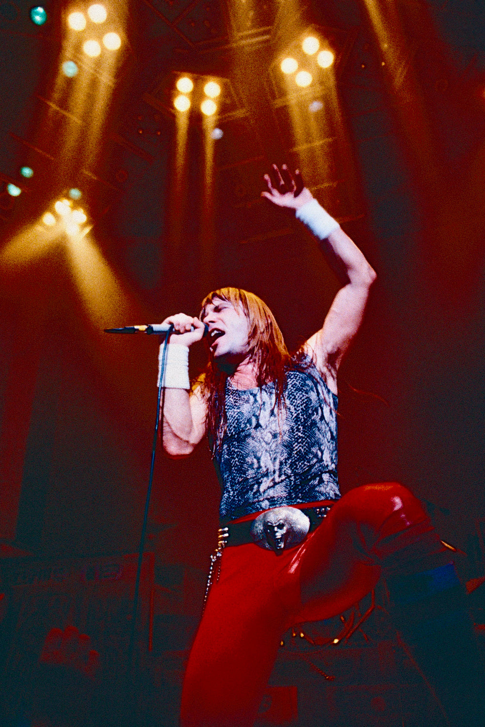 iron maiden
