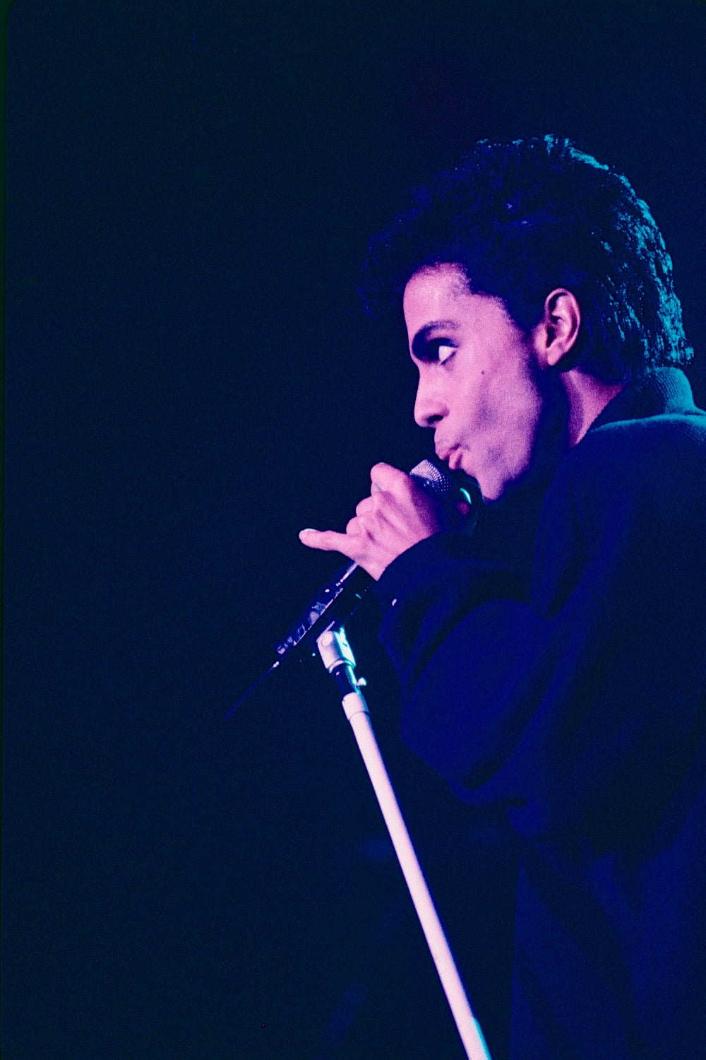 Prince 8½x11 Print SALE