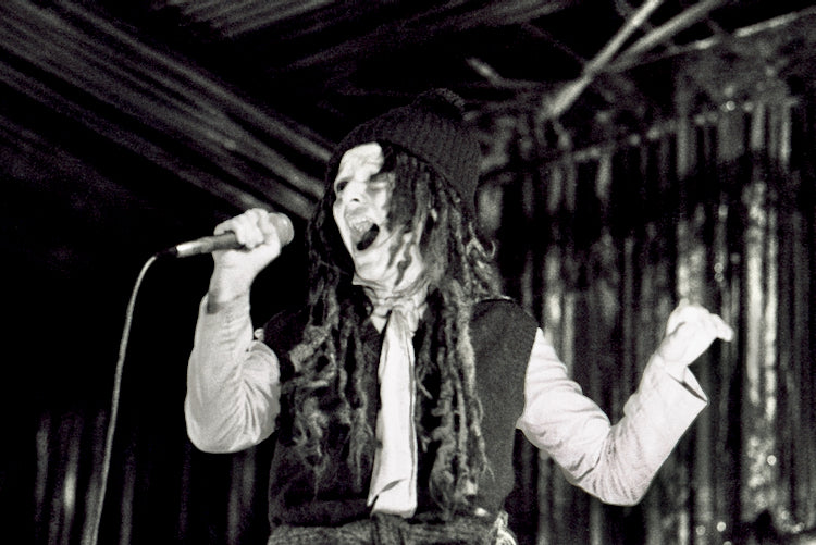 Ari Up of The Slits