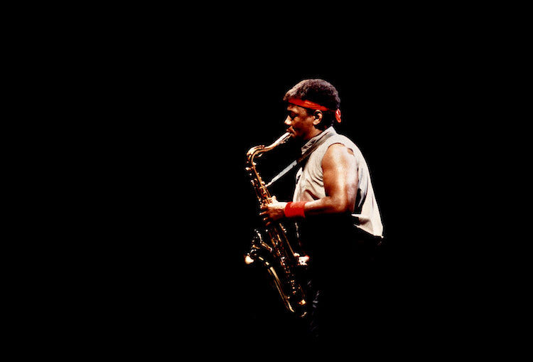 Clarence Clemons #3