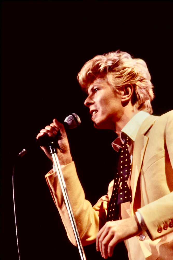 David Bowie : Serious Moonlight #9