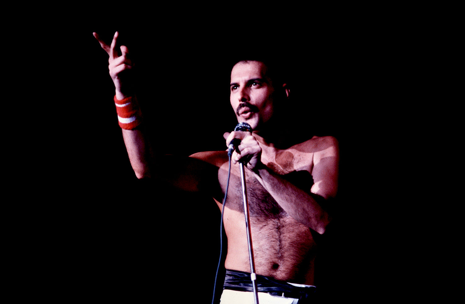 Freddie Mercury of Queen #4