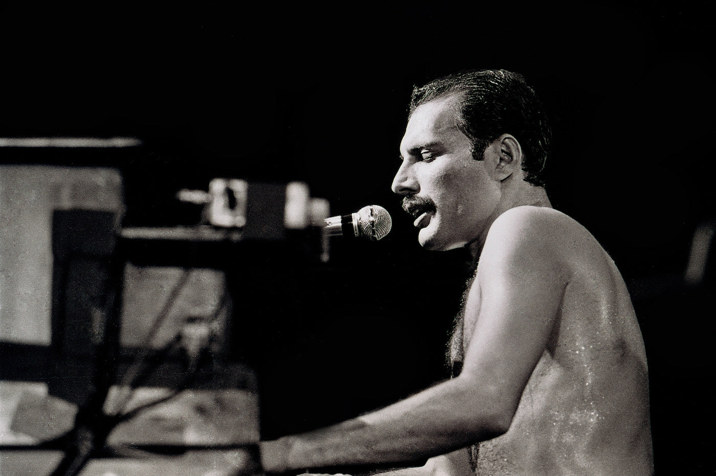 Freddie Mercury #11