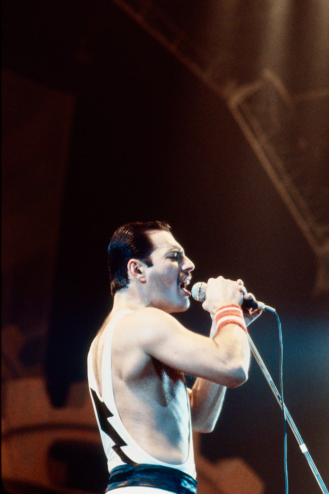 Freddie Mercury #8