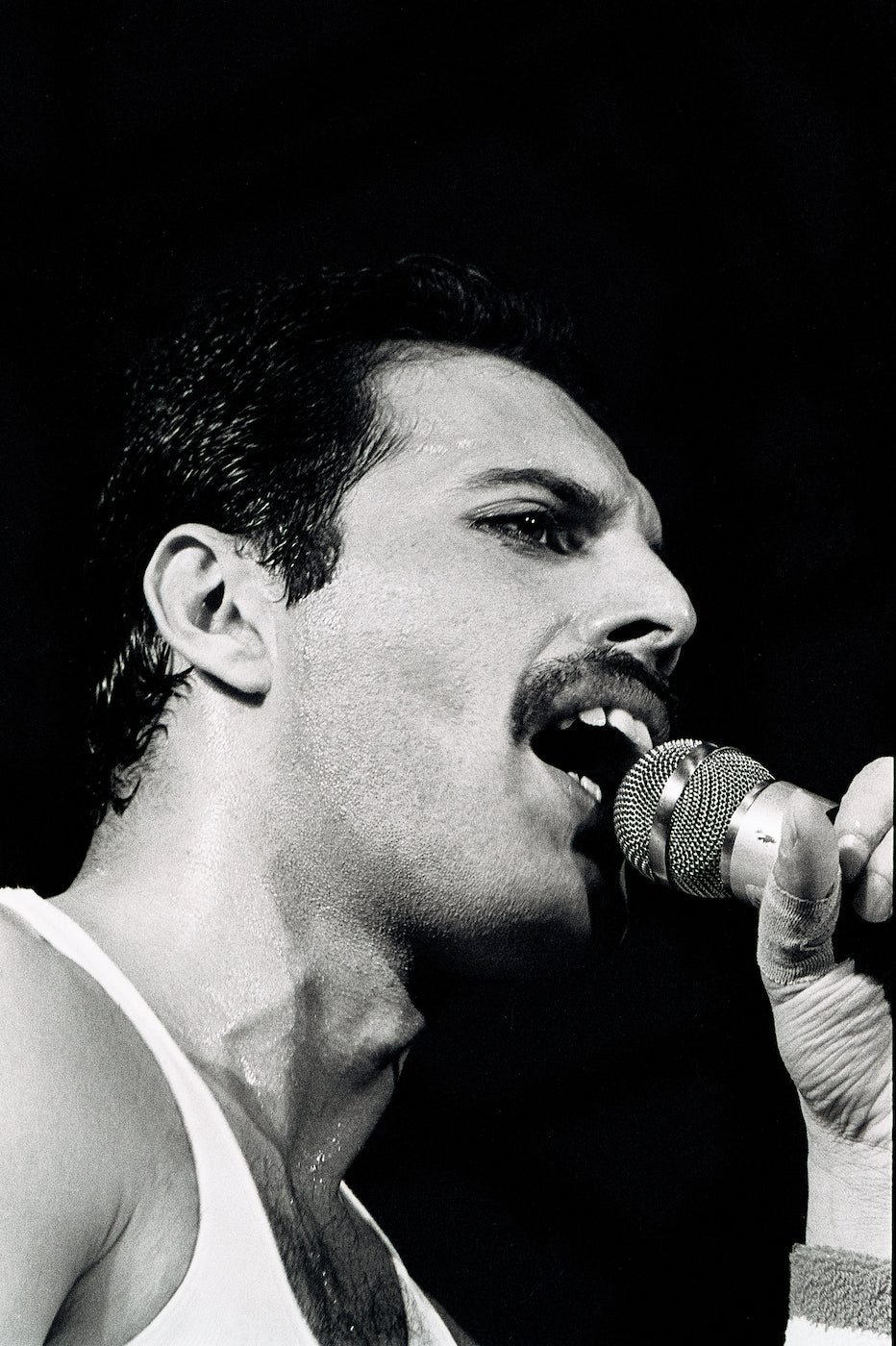Freddie Mercury #10
