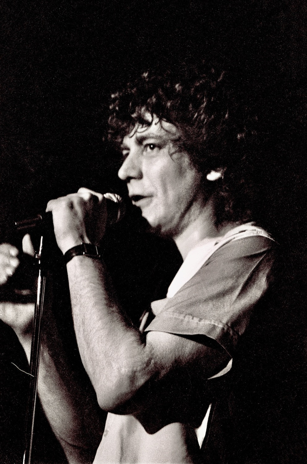 Robert Plant #2