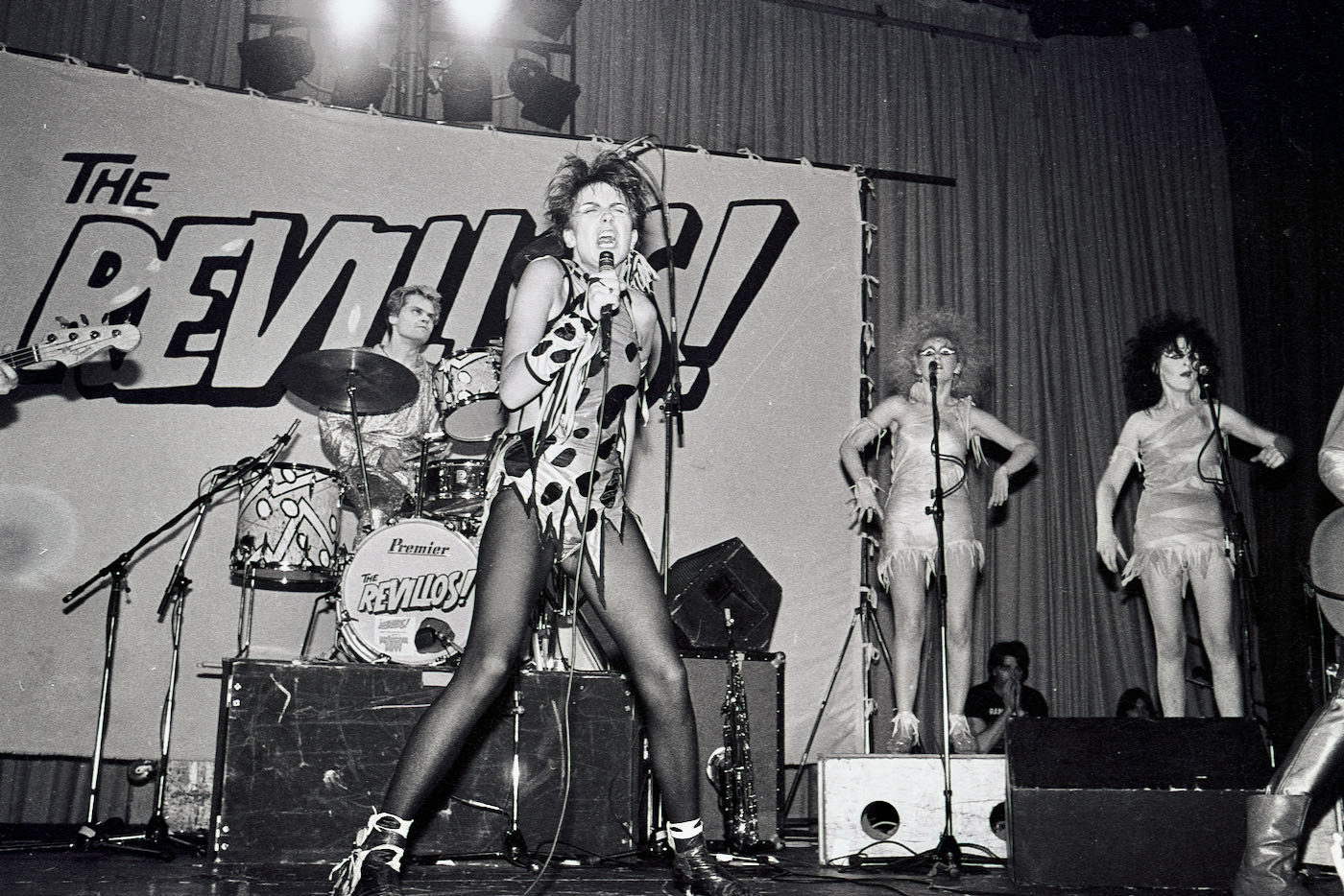 The Revillos