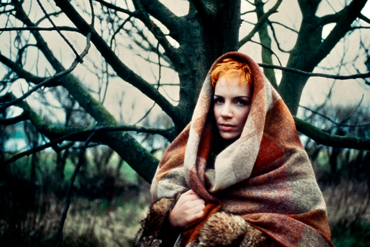Annie Lennox 8½x11 Print SALE