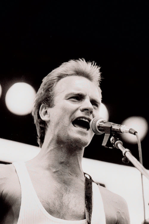 Sting #2