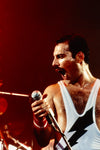 Freddie Mercury of Queen #7