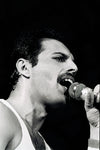 Freddie Mercury of Queen #10