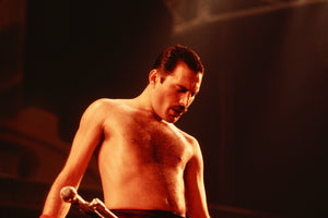 Freddie Mercury of Queen #2