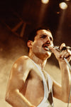 Freddie Mercury of Queen #9