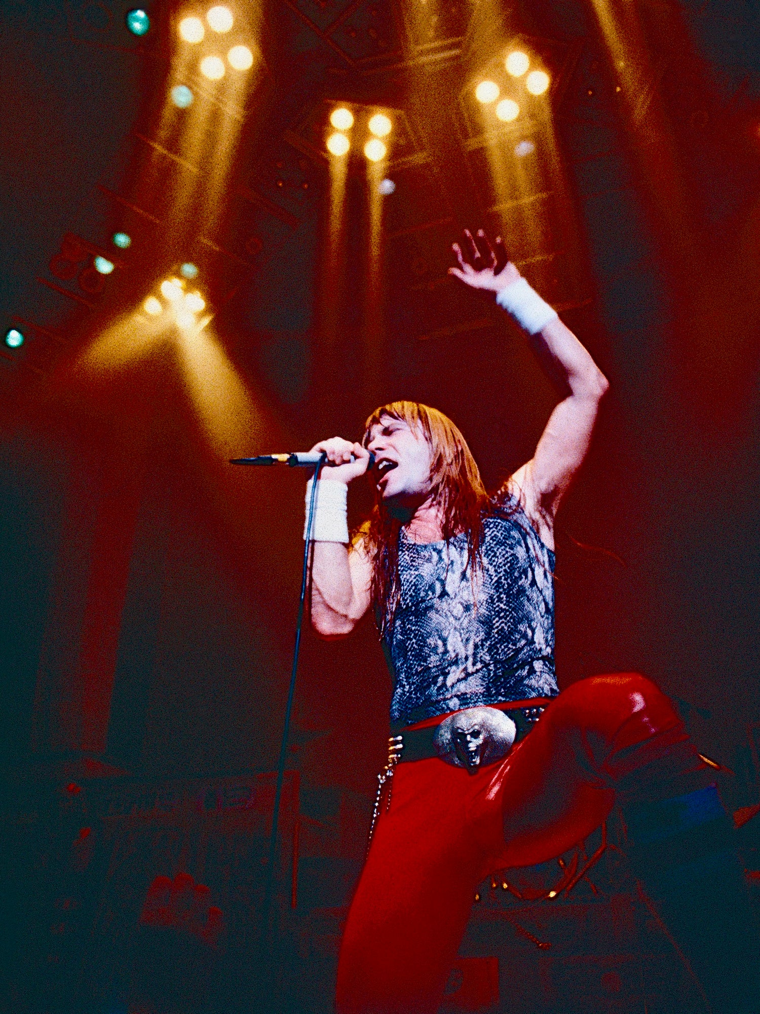 Bruce Dickinson of Iron Maiden / Live #1