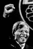 Nelson Mandela #2