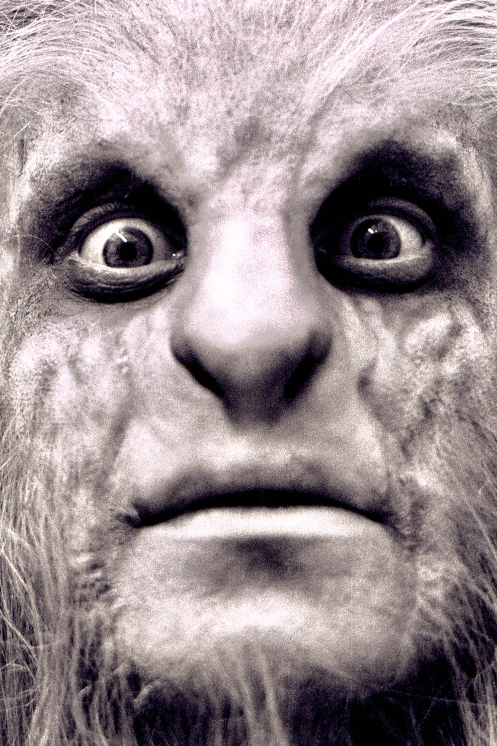 Ozzy Osbourne #2