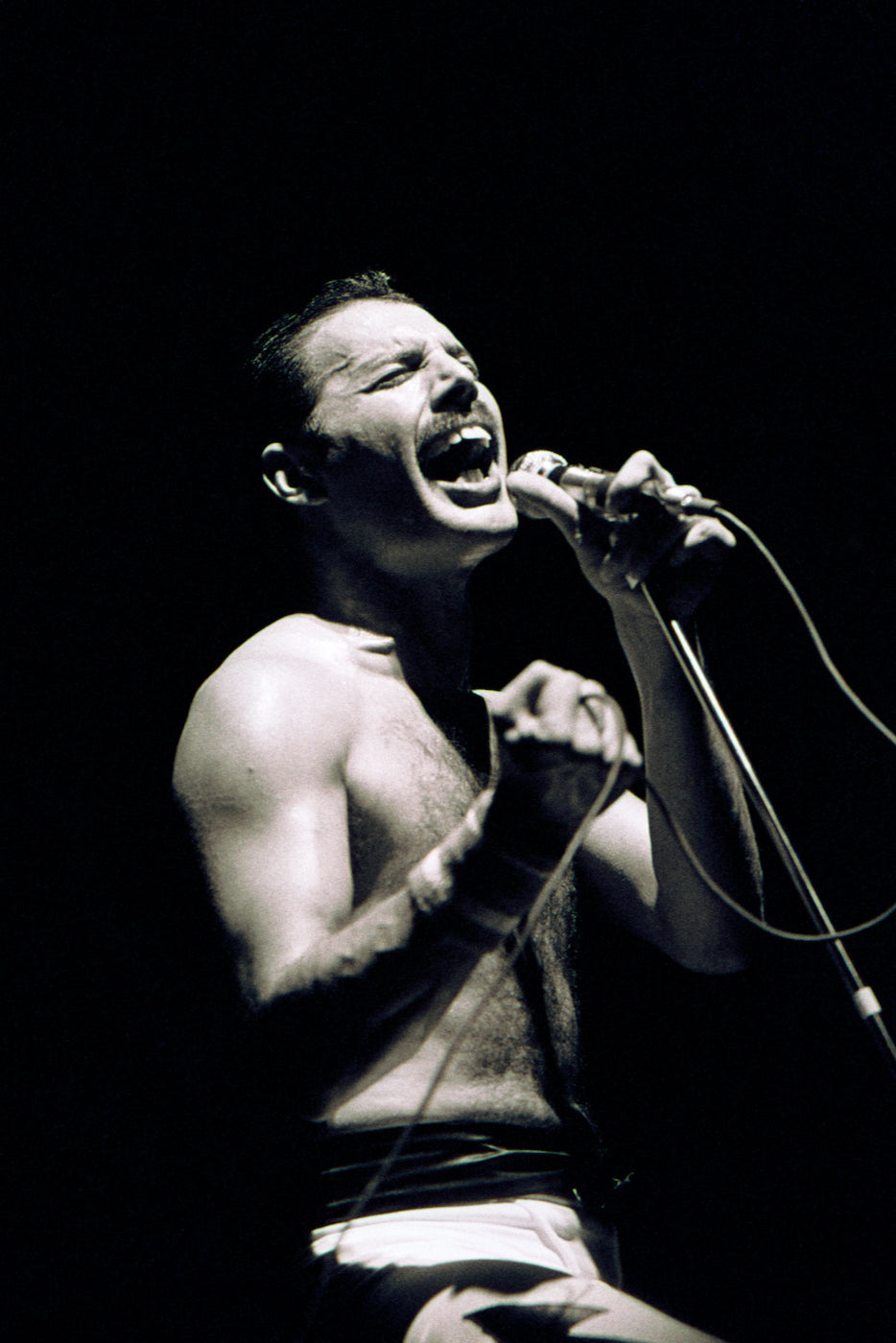 Freddie Mercury of Queen at Wembley Arena 1984