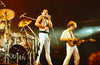 Freddie Mercury of Queen #6