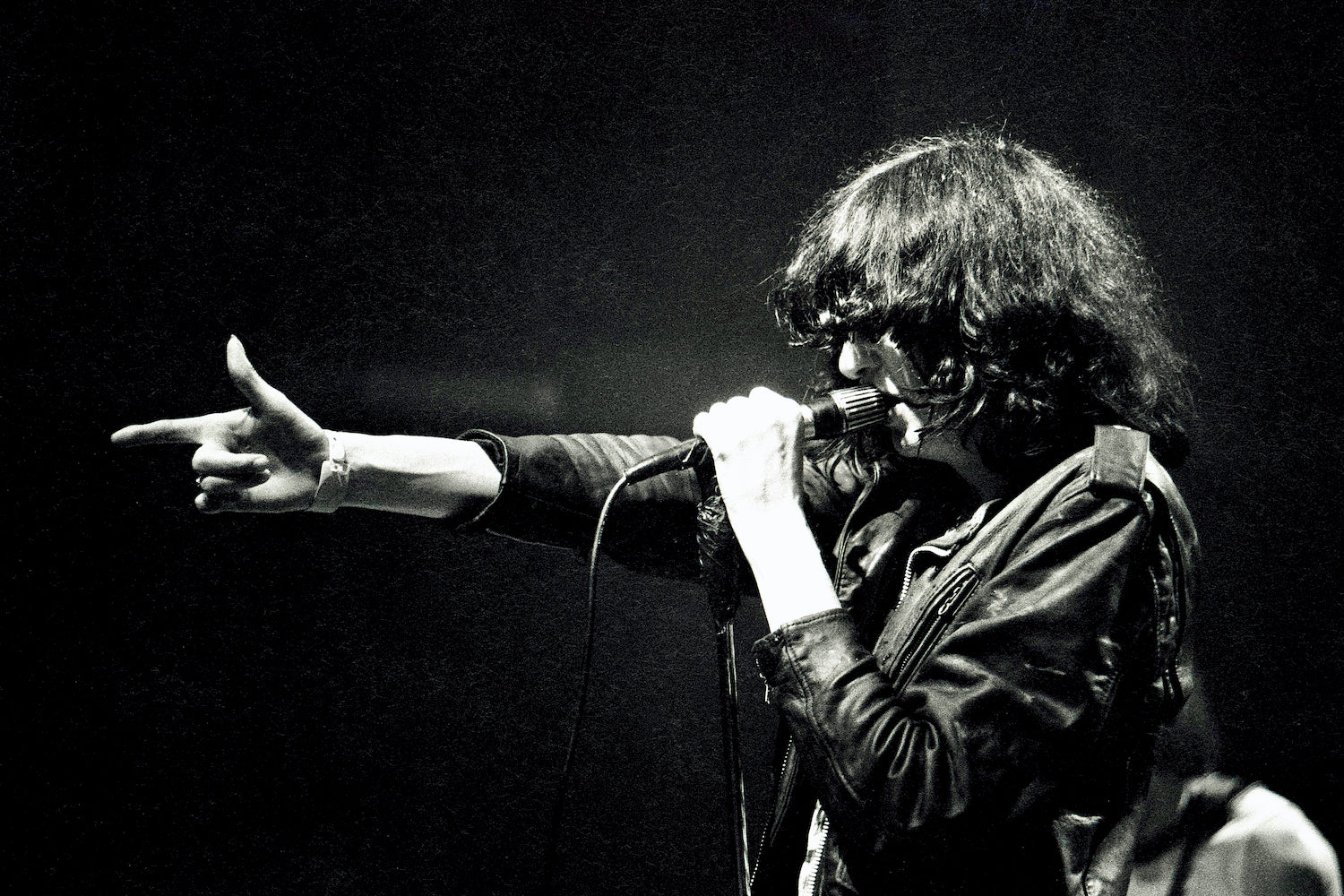Joey Ramone #2